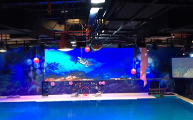 迪拜海洋館P6戶外防水LED顯示屏